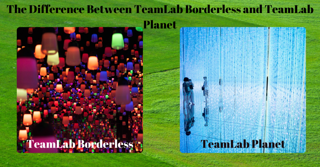 The Difference Between TeamLab Borderless and TeamLab Planet