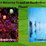 The Difference Between TeamLab Borderless and TeamLab Planet