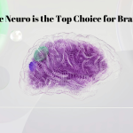 Why Pure Neuro is the Top Choice for Brain Health